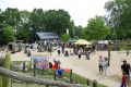 overzichtPiet-Jonker-weidevenner.nl-speelkraam-tien-jaar-22