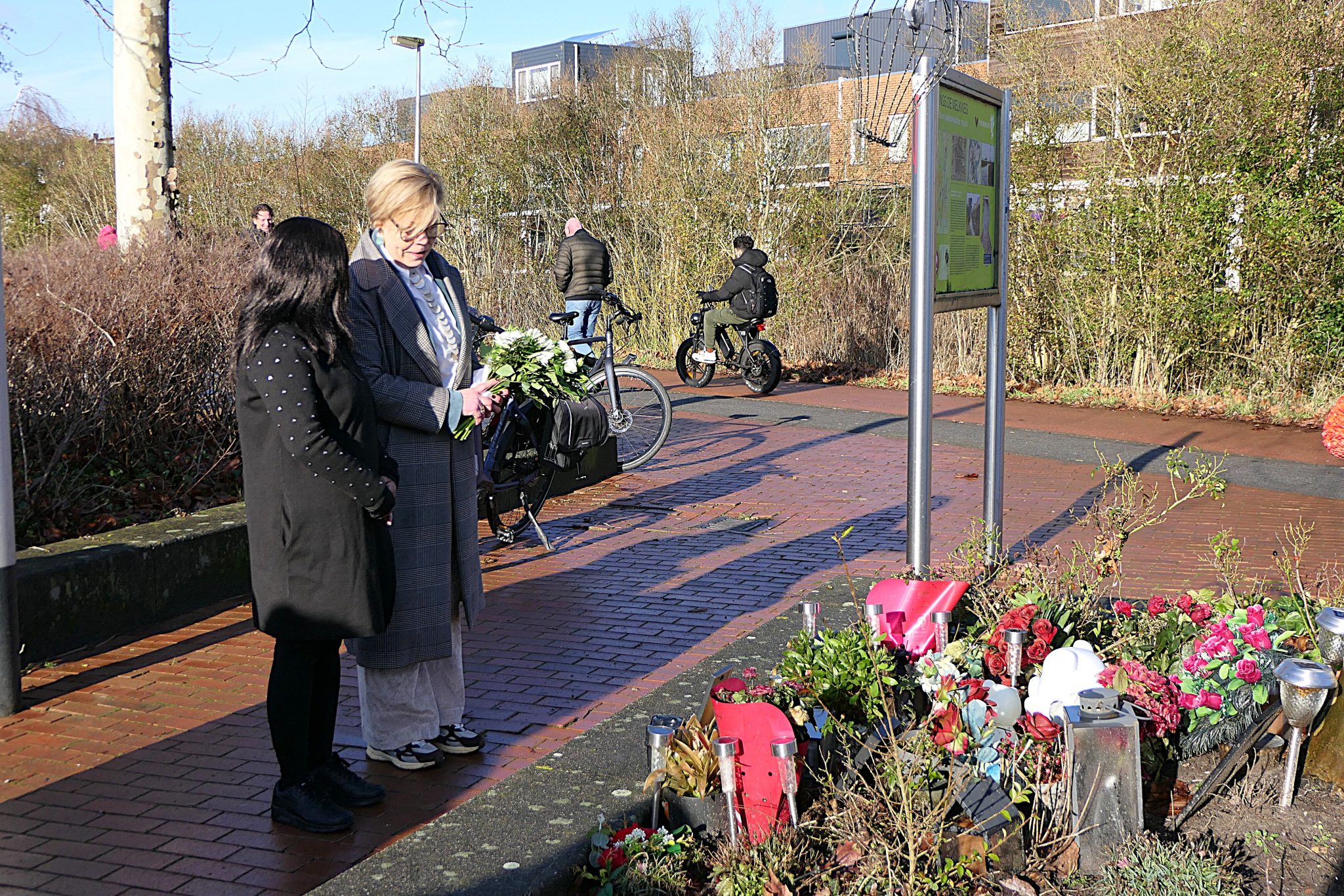 Weidevenner.nl-Brammetje-15