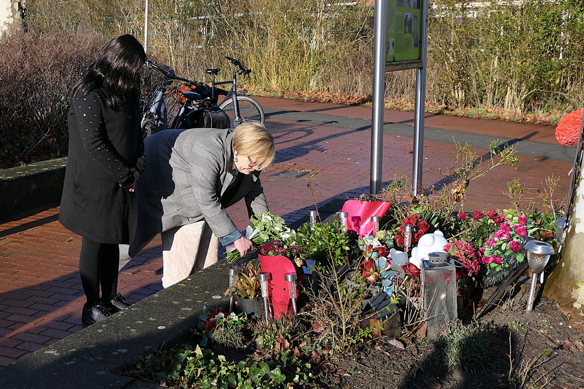 Weidevenner.nl-Brammetje-16