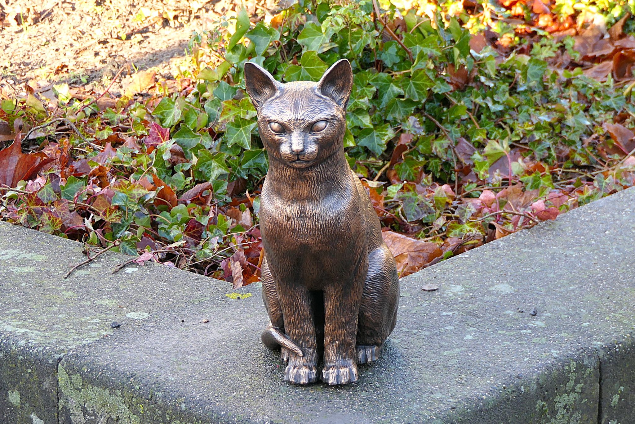beeld-Weidevenner.nl-Brammetje-9