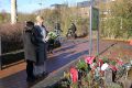 Weidevenner.nl-Brammetje-15