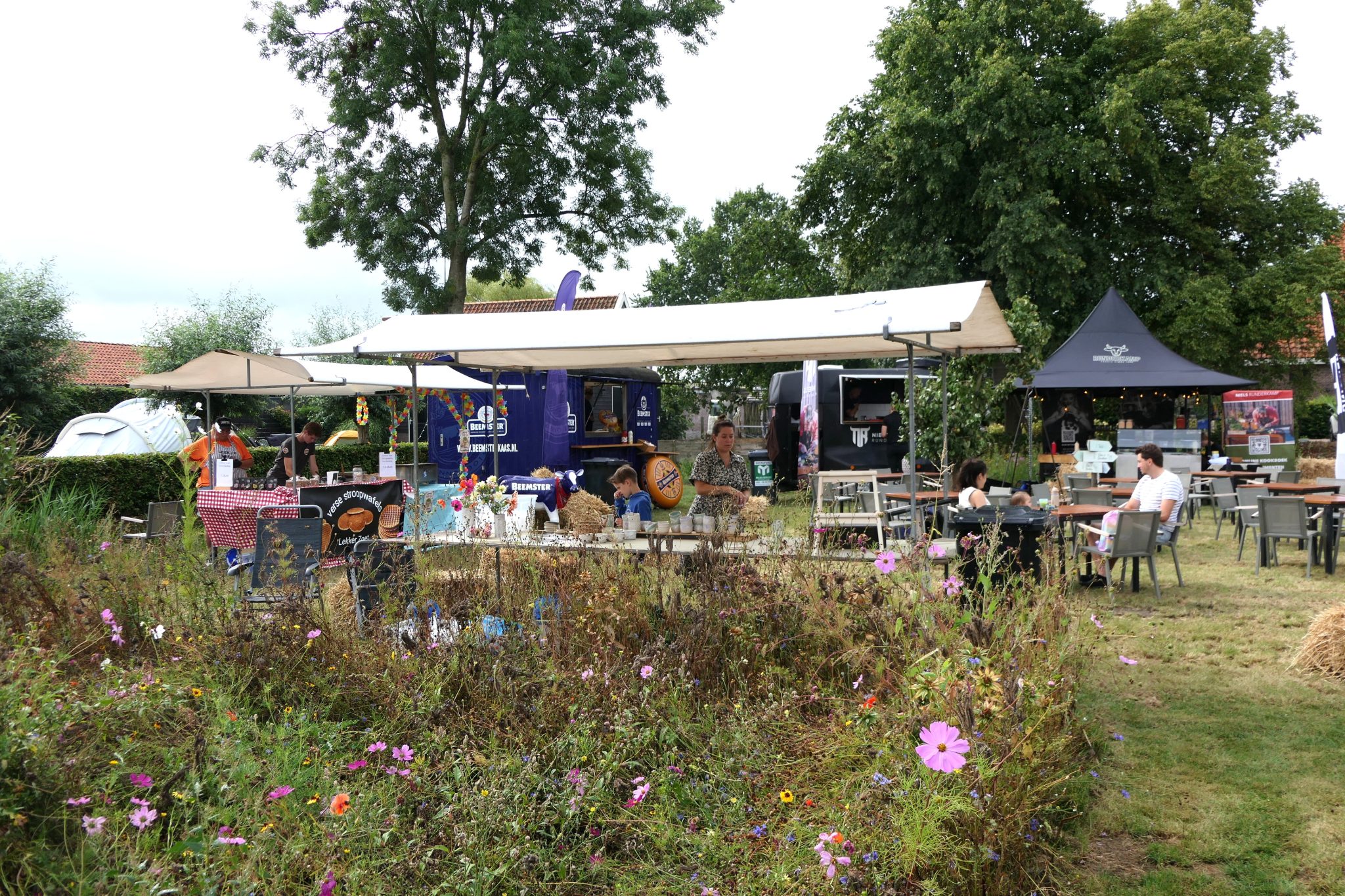 5-kraampjes-weidevenner.nl-Beemster-bloemenplukken