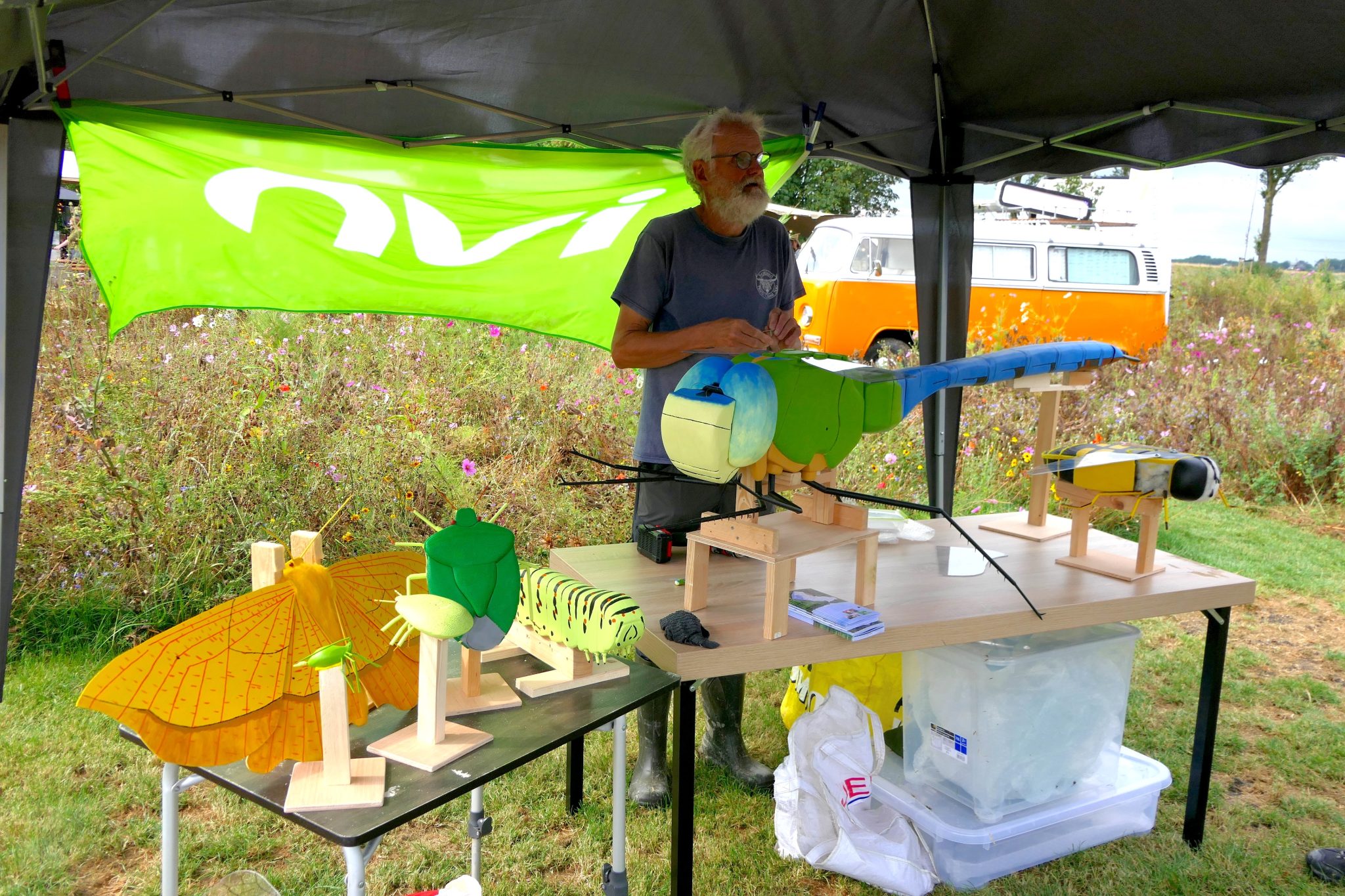 IVN-weidevenner.nl-Beemster-Bloemen-plukken-6