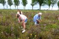 Bloemenveld-weidevenner.nl-Beemster-Bloemen-plukken-3