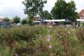weidevenner.nl-Beemster-Bloemen-plukken-11