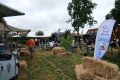 weidevenner.nl-Beemster-Bloemen-plukken-19