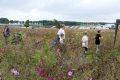 weidevenner.nl-Beemster-Bloemen-plukken-20