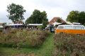 weidevenner.nl-Beemster-Bloemen-plukken-9