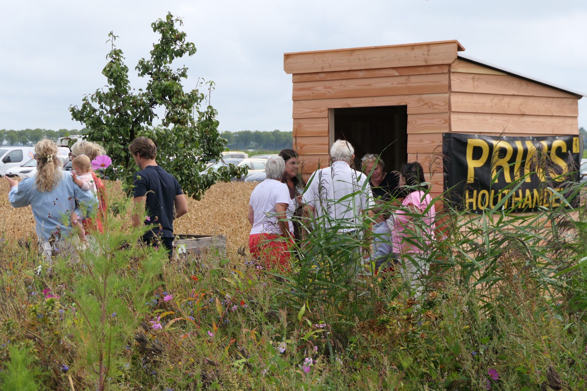 weidevenner.nl-Beemster-Bloemen-plukken-10