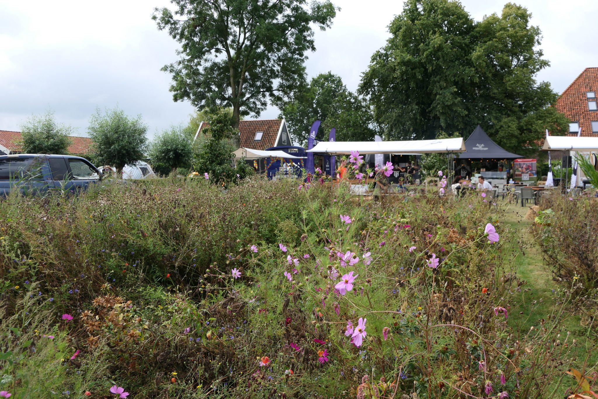 weidevenner.nl-Beemster-Bloemen-plukken-11