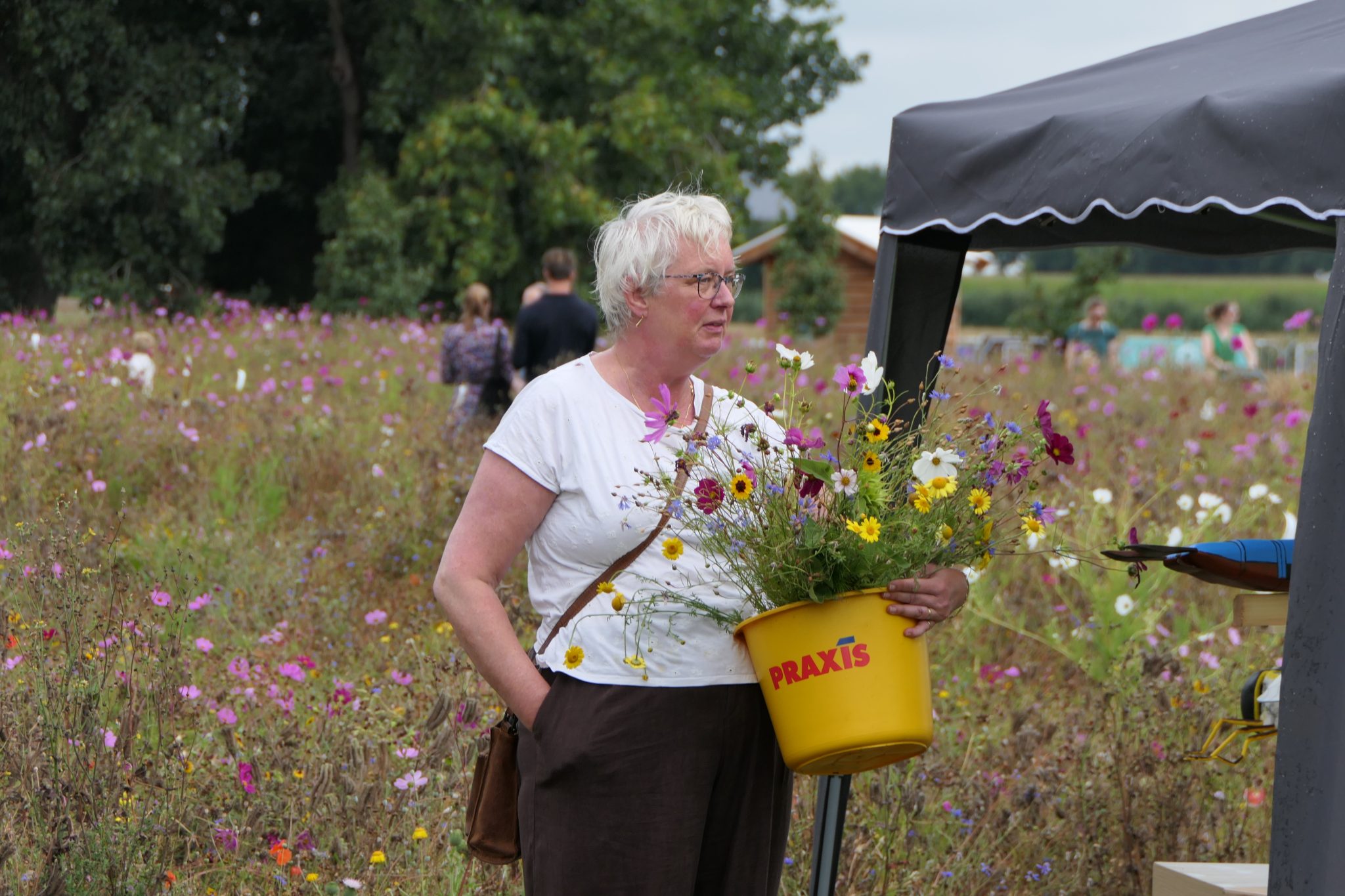 weidevenner.nl-Beemster-Bloemen-plukken-18
