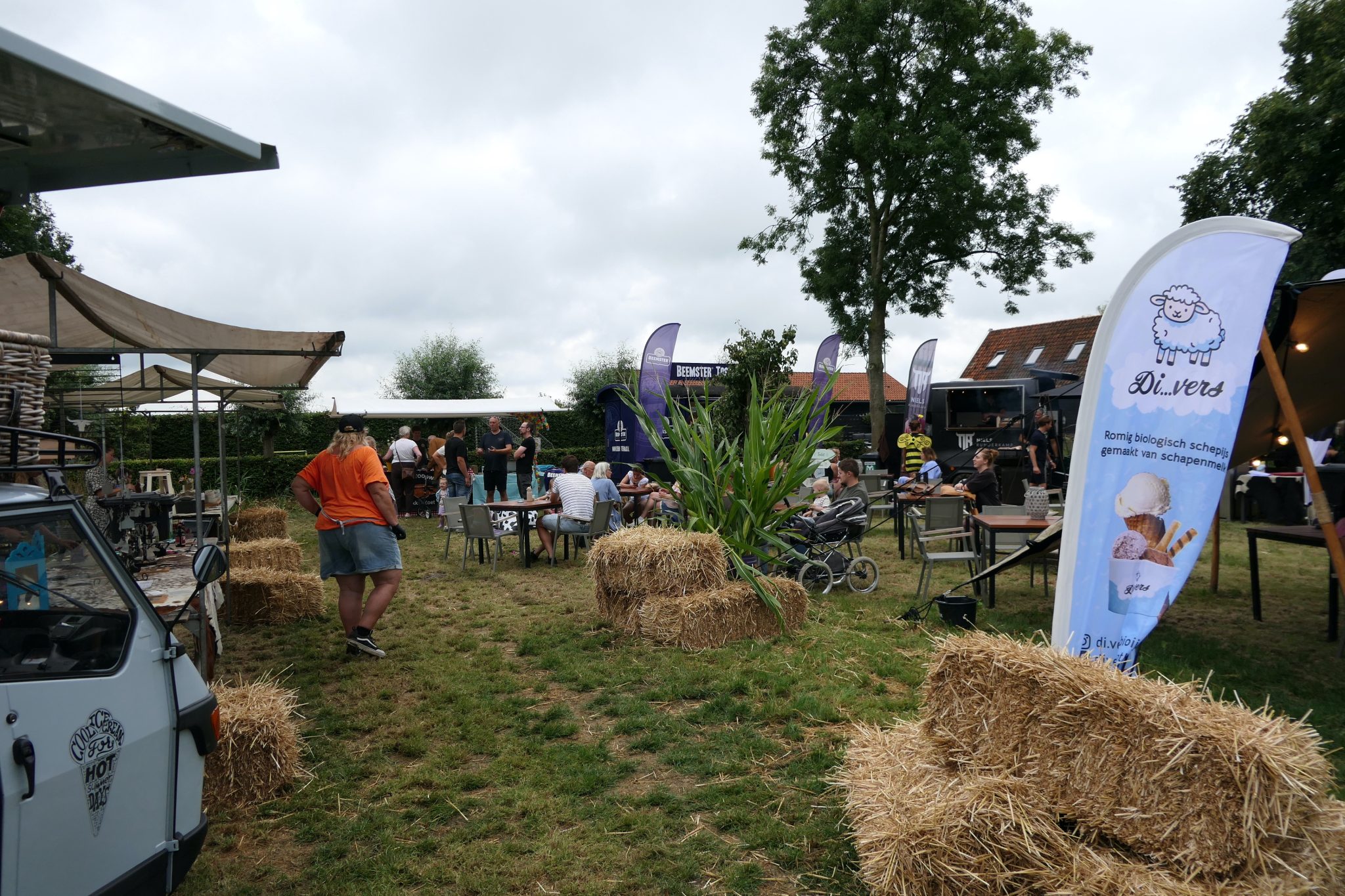 weidevenner.nl-Beemster-Bloemen-plukken-19