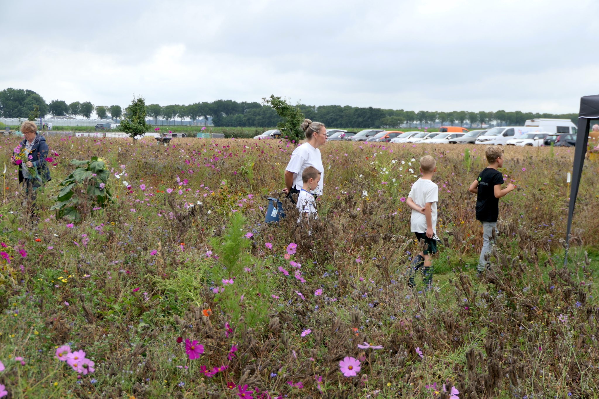 weidevenner.nl-Beemster-Bloemen-plukken-20