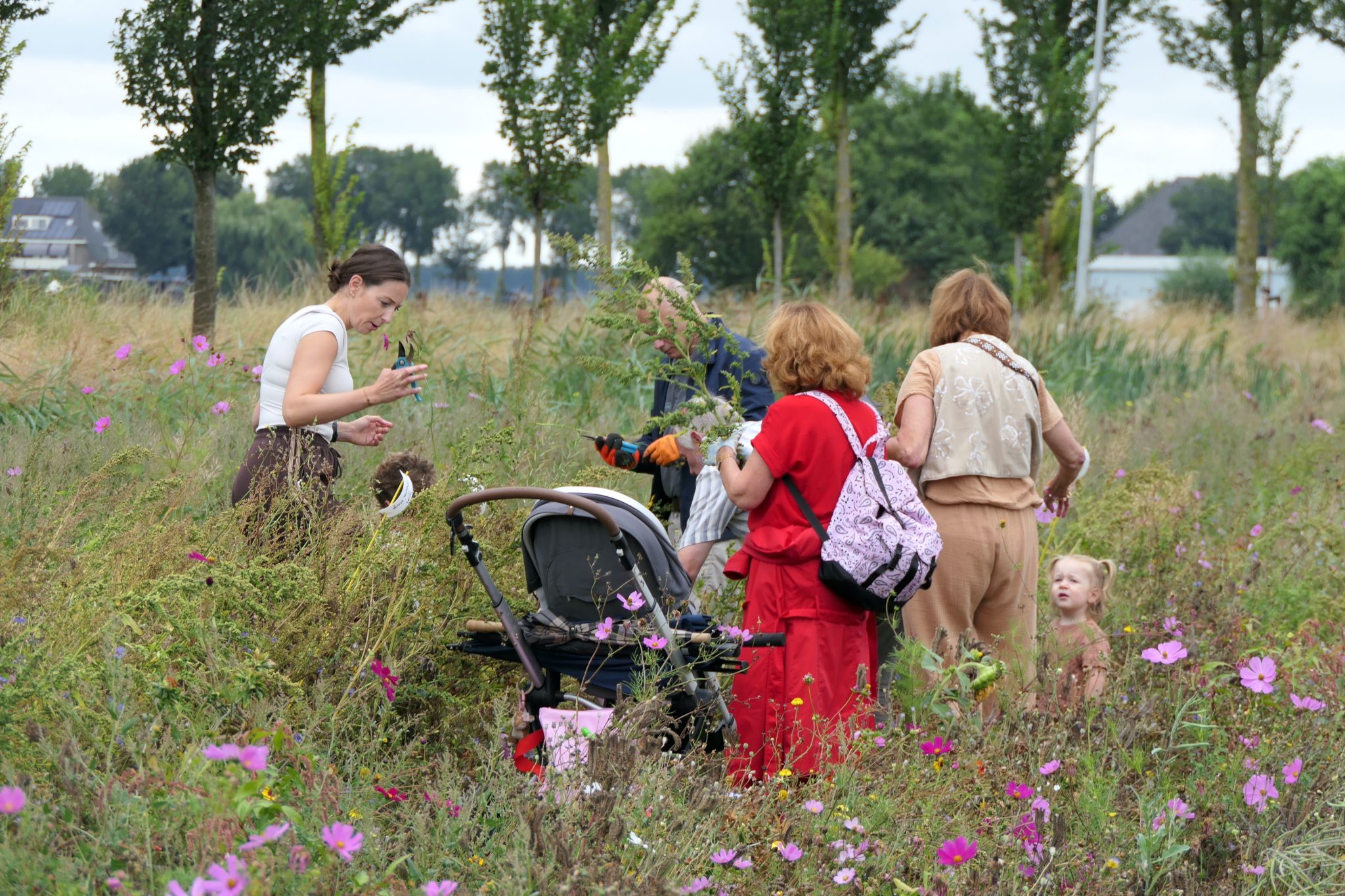 weidevenner.nl-Beemster-Bloemen-plukken-21