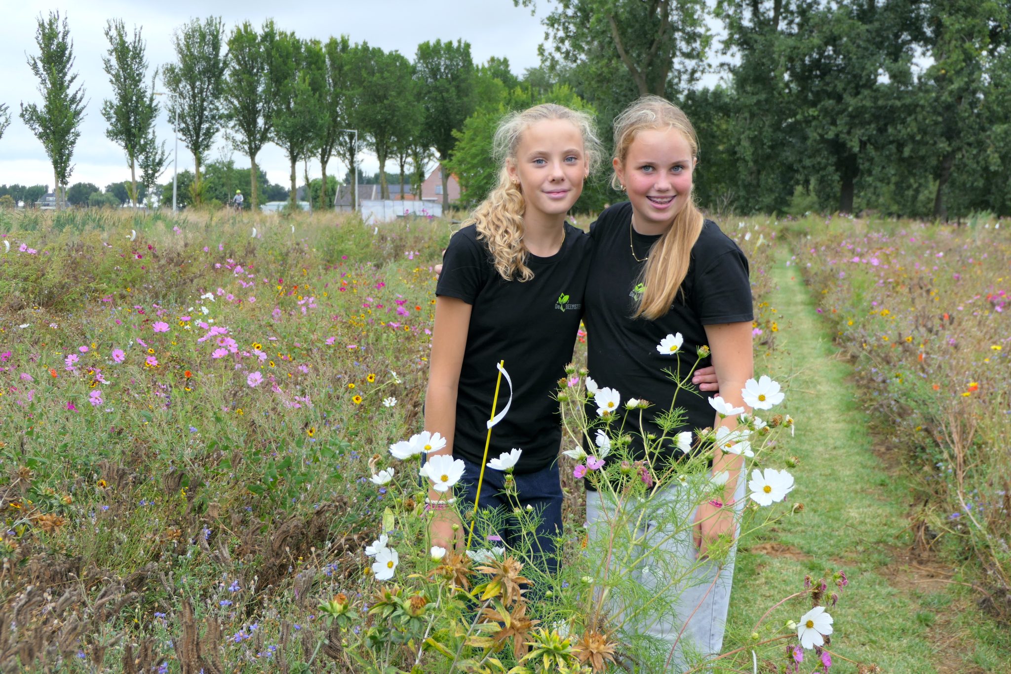 weidevenner.nl-Beemster-Bloemen-plukken-23