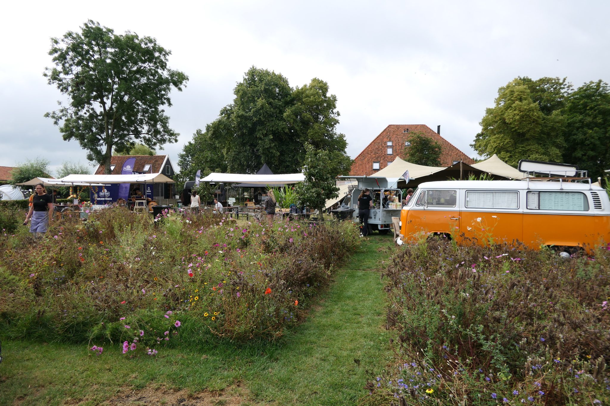 weidevenner.nl-Beemster-Bloemen-plukken-9