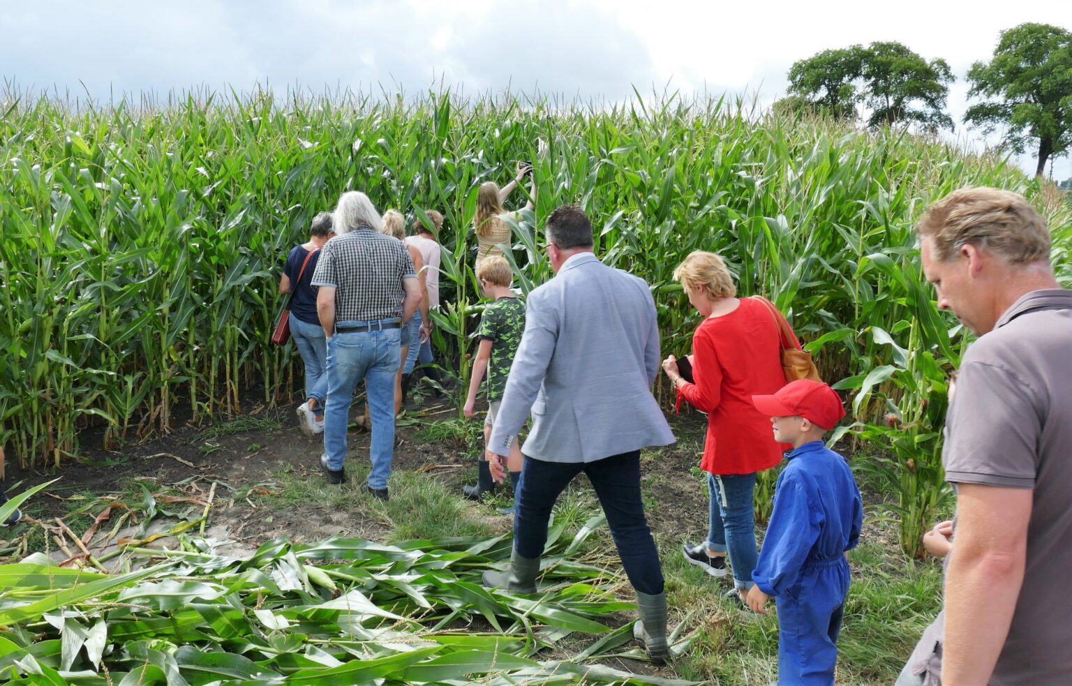 S-Piet-Jonker-weidevenner-bloemenlint-5
