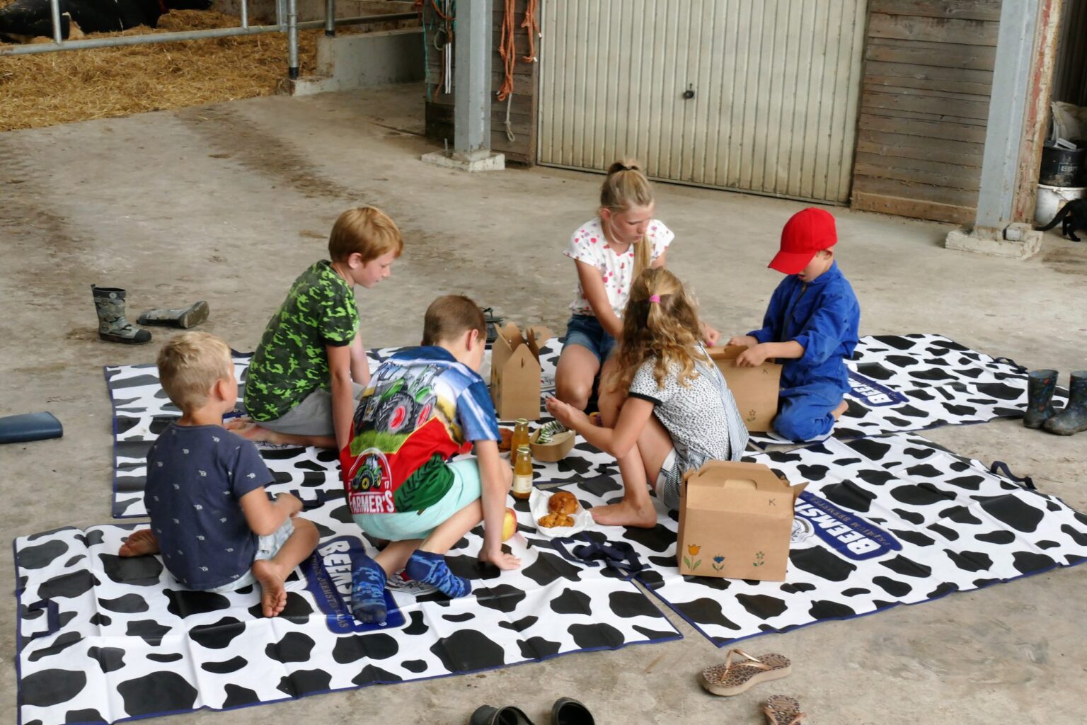 SPiet-Jonker-weidevenner-bloemenlint-14