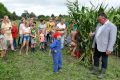 Piet-Jonker-weidevenner-bloemenlint-10