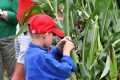 Piet-Jonker-weidevenner-bloemenlint-12