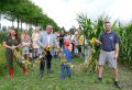 lint-Piet-Jonker-weidevenner-bloemenlint-8