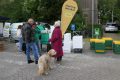 bijenmarkt-26-12
