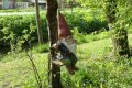 weidevenner.nl-Beemster-groen-4