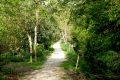 weidevenner.nl-Beemster-groen-5