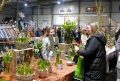 Piet-Jonker-weidevenner.nl-boerenmarkt-8