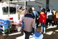 Piet-Jonker-weidevenner-Boer-en-Ambacht-24-2-10