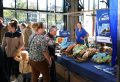 Piet-Jonker-weidevenner-Boer-en-Ambacht-24-2-15