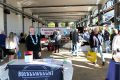 Piet-Jonker-weidevenner-Boer-en-Ambacht-24-2-3