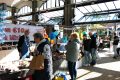 Piet-Jonker-weidevenner-Boer-en-Ambacht-24-2-5
