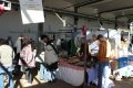Piet-Jonker-weidevenner-Boer-en-Ambacht-24-2-6