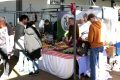 Piet-Jonker-weidevenner-Boer-en-Ambacht-24-2-7