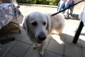 Piet-Jonker-weidevenner.nl-burendag-bloemfontein-25-29