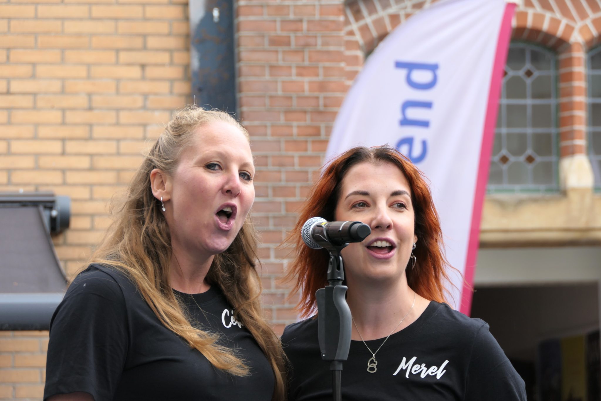 weidevenner.nl-cultuurmarkt-2026-39