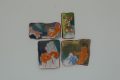 Flox-den-Hartog-Piet-Jonker-weidevenner-1