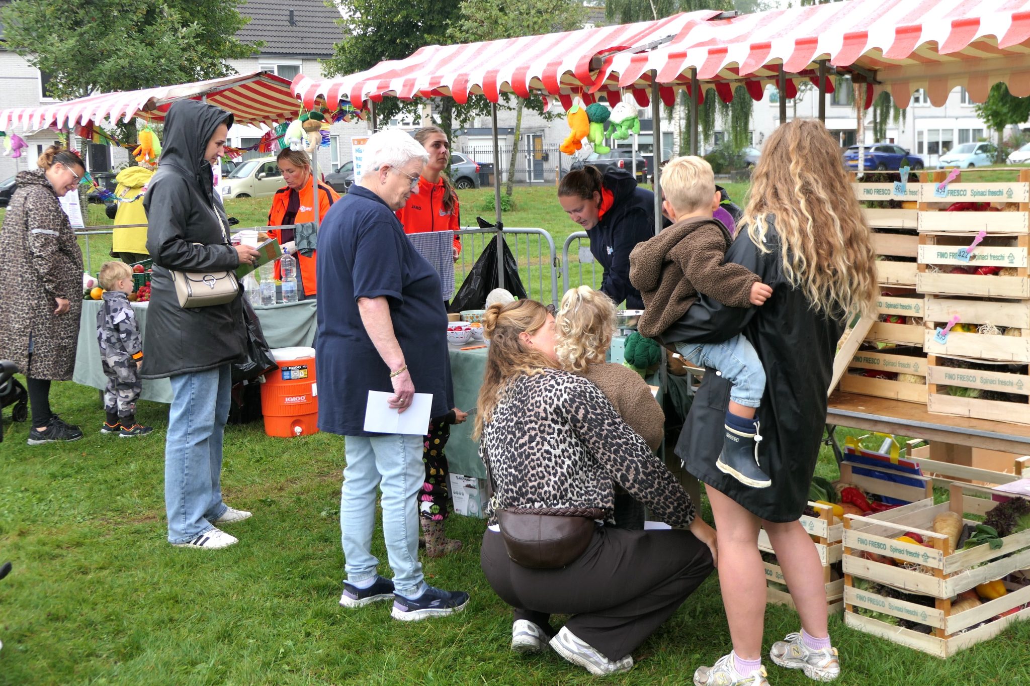 Piet-Jonker-weidevenner.nl-hapjes-14