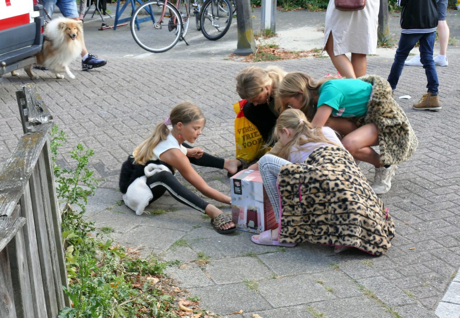 Piet-Jonker-weidevenner-rommelmarkt-2022-3