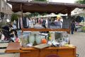 Piet-Jonker-rommelmarkt-25-weidevenner-32