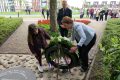 herdenking-26-6