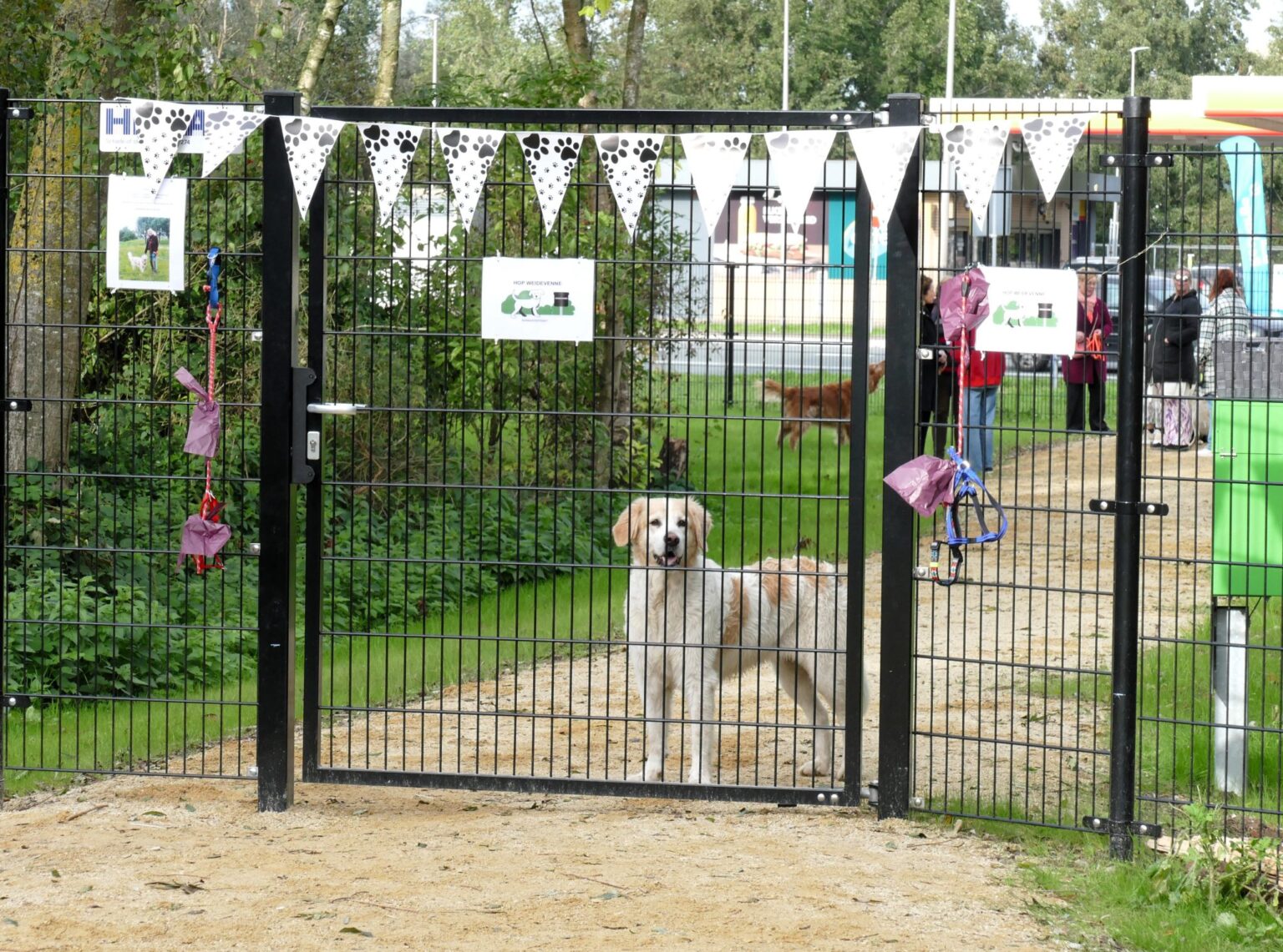 Hond-en-Hek-weidevenner-opening-HOP-35