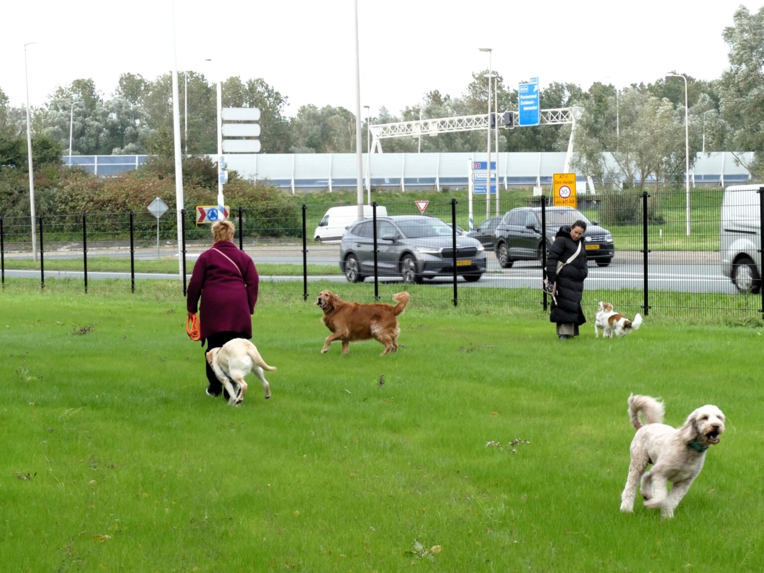 Veld-weidevenner-opening-HOP