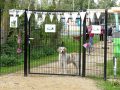 Hond-en-Hek-weidevenner-opening-HOP-35