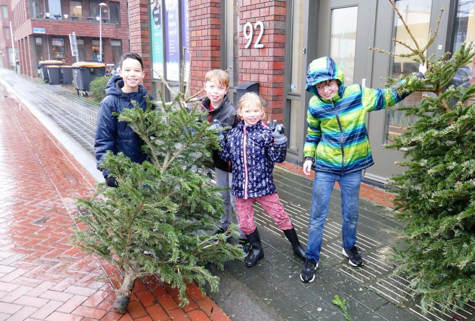 Foto 2 Piet Jonker weiddevenner bomen en vuurwerk 2020 (30)