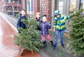 Foto 2 Piet Jonker weiddevenner bomen en vuurwerk 2020 (30)