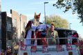 Piet-Jonker-weidevenner-sint-intocht-22-39