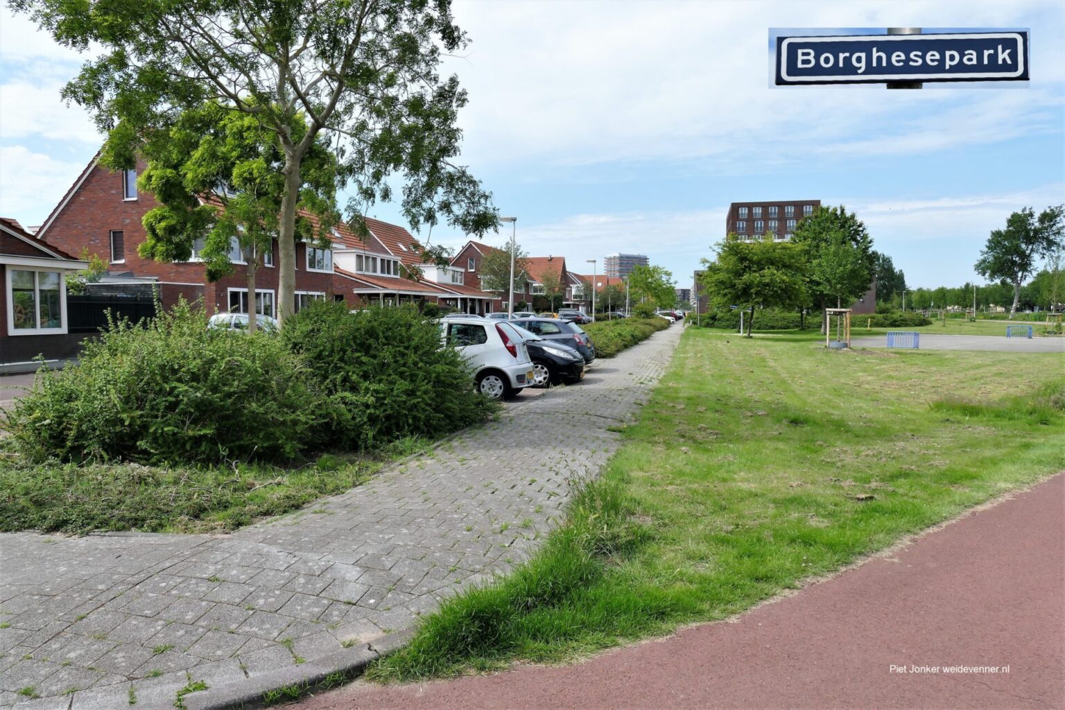 Piet-Jonker-weidevenne-borghesepark