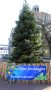 Piet-Jonker-weidevenner.nl-kerst-23-1